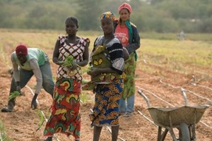 Urgence pour la sécurité alimentaire au Sahel