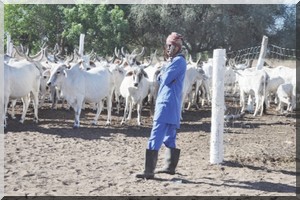  Mali, Mauritanie et Sénégal : Vers un cadre de concertation sur le pastoralisme 