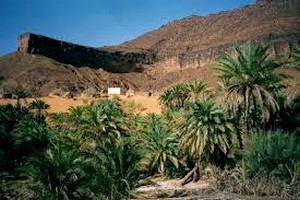 La societé des dattes de Mauritanie annonce le début de la commercialisation de ses produits