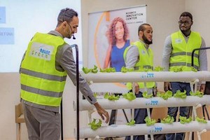 Greenhouse, la start-up Agritech qui révolutionne la production maraîchère en Mauritanienne 