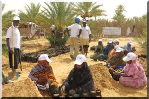 PNUD/ FEM/SGP – Tidjikja : Poursuite des travaux de la protection de l’Oasis d’El Mabrouk [PhotoReportage]