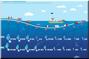 Pêche : vers une meilleure protection des ressources