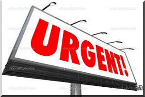 La fête d'El Adh-ha dimanche prochain 