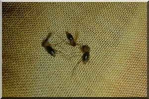 Mutisme coupable ou indifférence ?