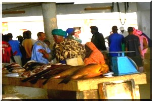 Réglementation de la profession de poissonnier 