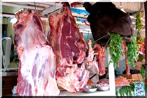 La viande de chameau acquiert ses lettres de noblesse