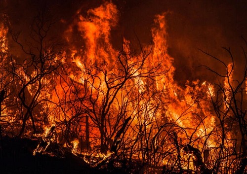 Algérie: au moins 34 morts dont 10 militaires dans de violents incendies